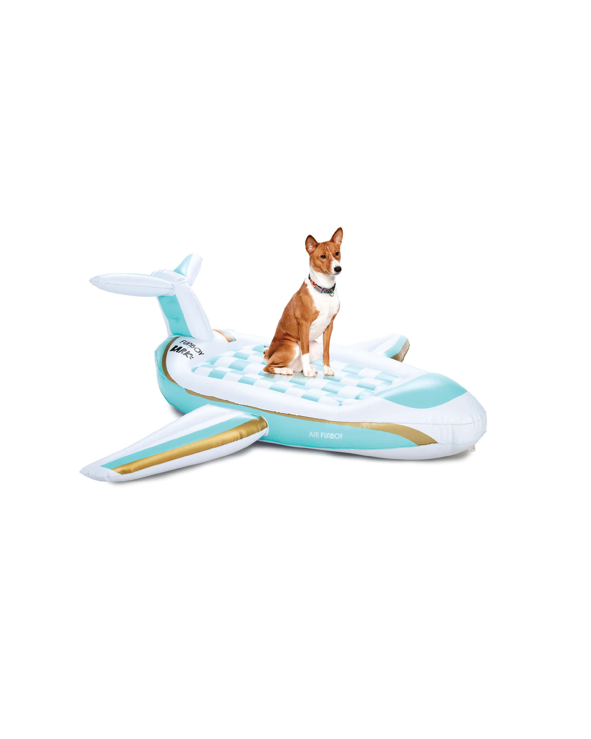 FUNBOY x Bark Private Jet Dog Float