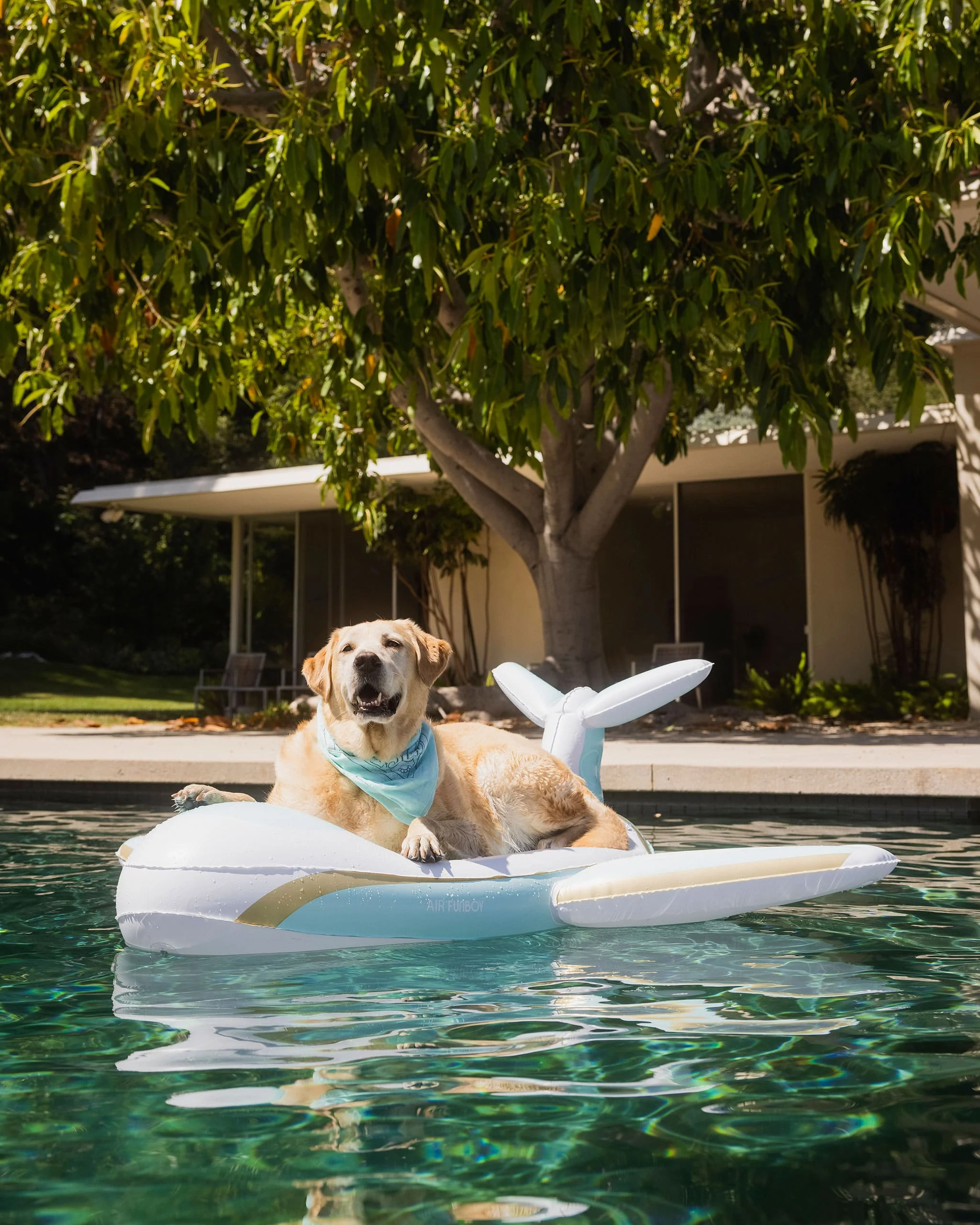 FUNBOY x Bark Private Jet Dog Float - Image 2