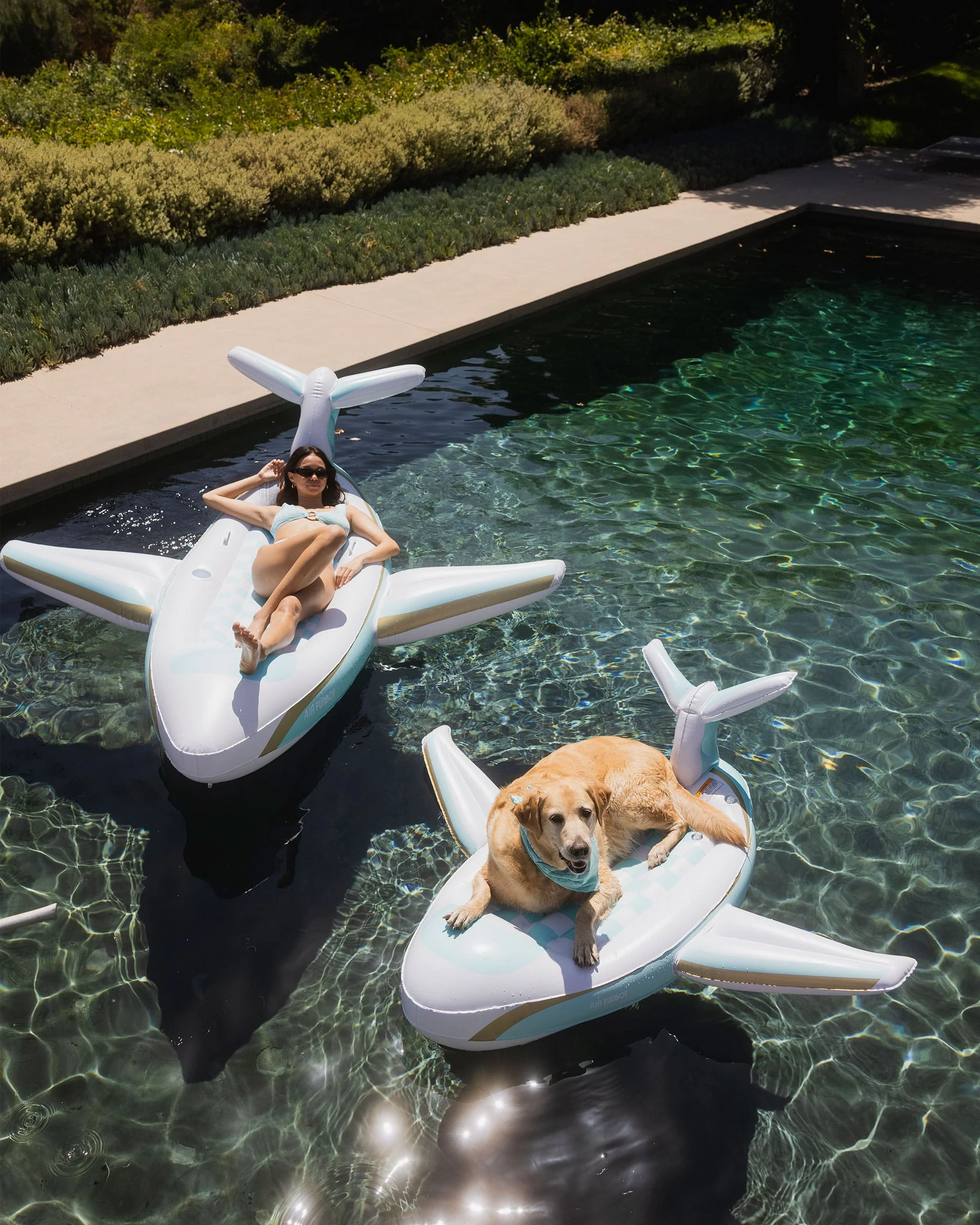 FUNBOY x Bark Private Jet Dog Float - Image 3
